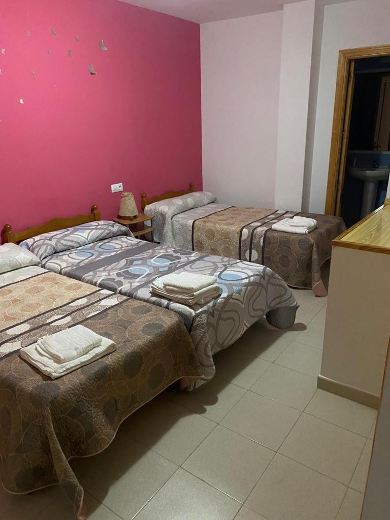 Hostal Y Apartamentos La Vereda 루이데라 외부 사진